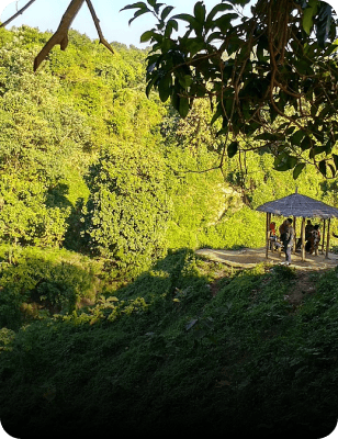 Himchari National Park